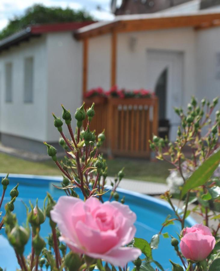 Ferienwohnung Levin Dargun Exteriér fotografie